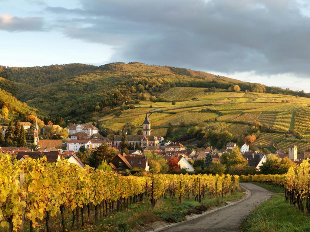 Gite Au Coeur De Ribeauville ภายนอก รูปภาพ